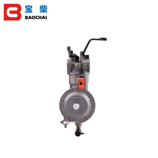 168 170 LPG 2KW-3KW Dual Fuel Conversion Kit for ER2500/GX200 Gasoline Generator