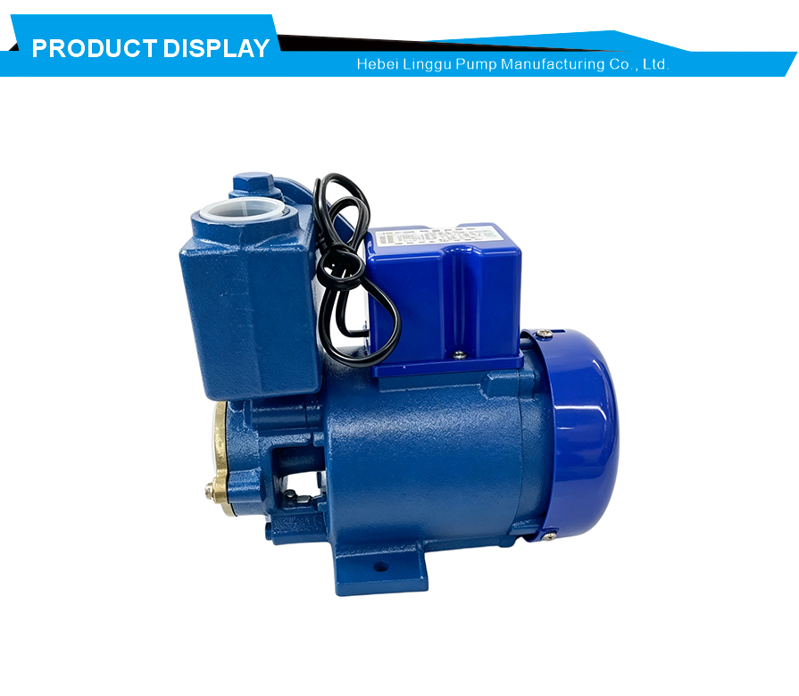 Home water pressure booster