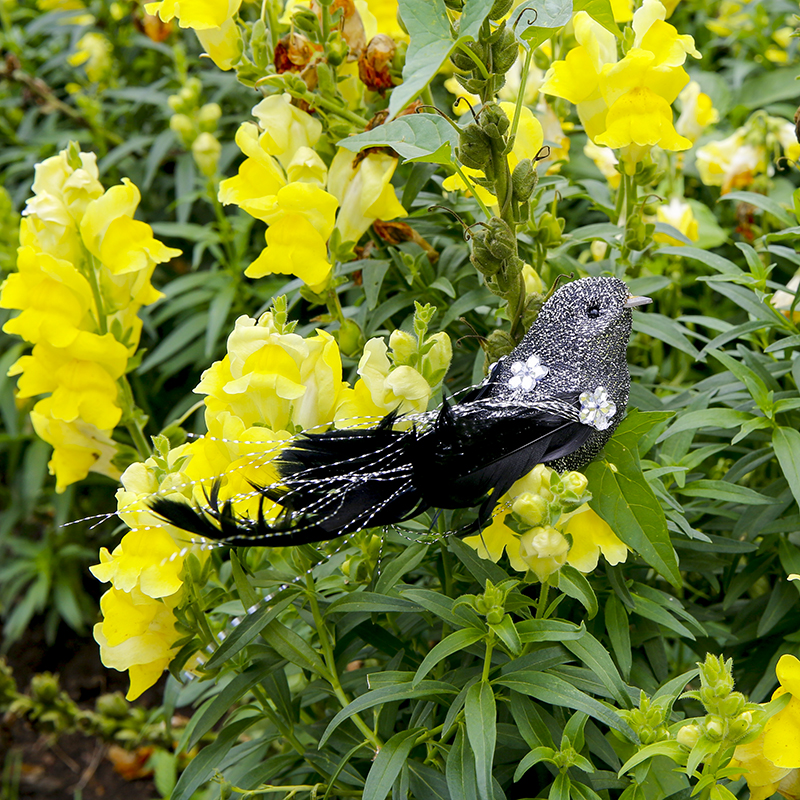 Amazone de décoration d&#39;oiseau