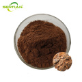 High-Quality Pine Bark Extract