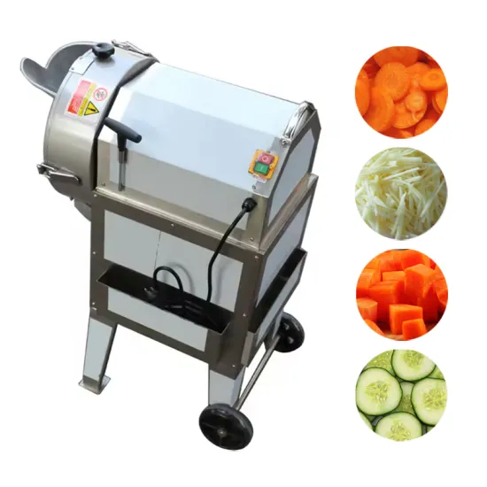 Fastest Fruit and Vegetable Slicing Machine