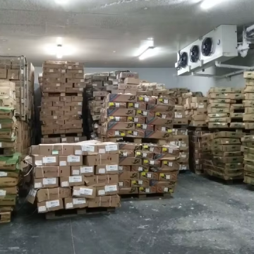 Large Cold Room Freezers for Fish and Meat Storage