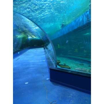 Gran túnel de acuario acrílico transparente personalizado