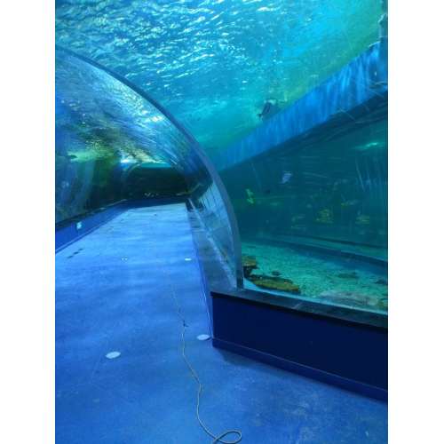 Grande túnel de aquário acrílico transparente personalizado