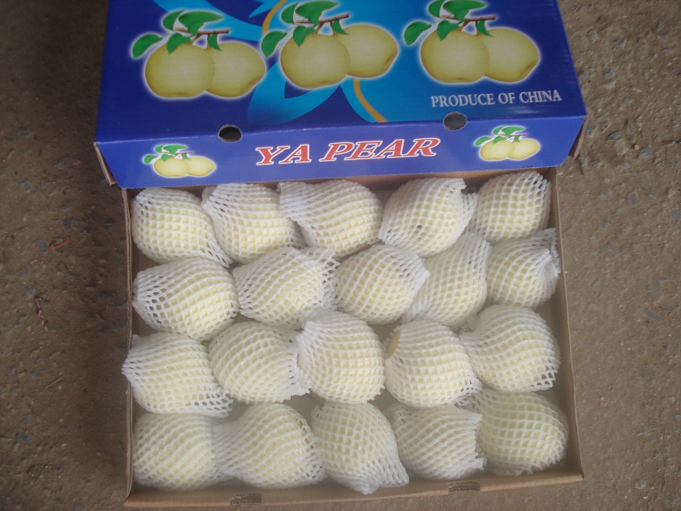 fresh  ya pear into 9kg carton 