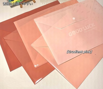 A4 Clear File Bag with Snap Button Folder