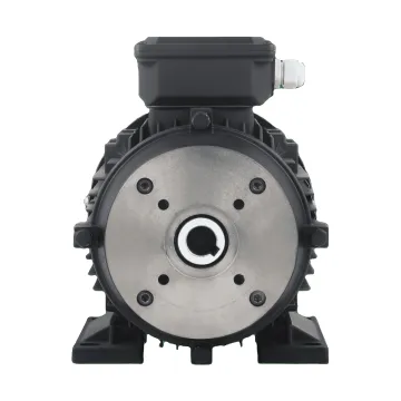 Customizable 7.5kW Hollow Shaft Motor for Pressure Washer Applications