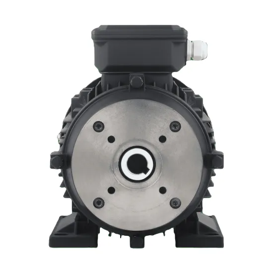 Customizable 7.5kW Hollow Shaft Motor for Pressure Washer Applications