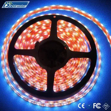 turquoise led strip new from TUV  verified big factory