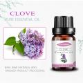 Clove esencial Aceite natural Aromaterapia orgánica Beauty Spa
