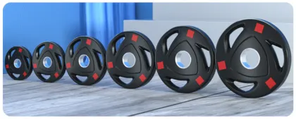 GymPro: Wholesale Durable Weight Lifting Equipment & Barbell Plates
