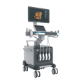 Trolley High Focused Color Doppler Medical Ultrasound