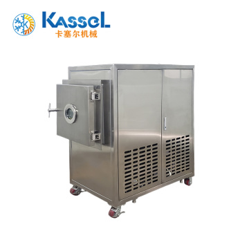 Fruit Freeze Drying Lyophilisation Equipment for Sale