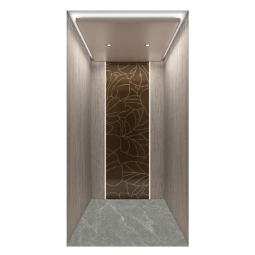 Bronze etched stainless steel villa elevator
