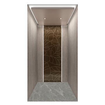 Bronze geätzte Edelstahlvilla -Aufzug