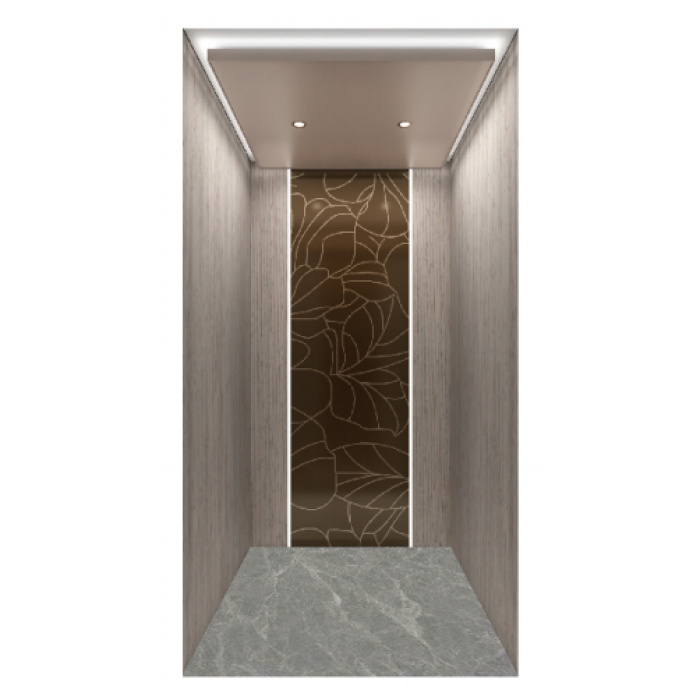 Bronze geätzte Edelstahlvilla -Aufzug