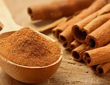 Natural Cinnamon Bark Extract
