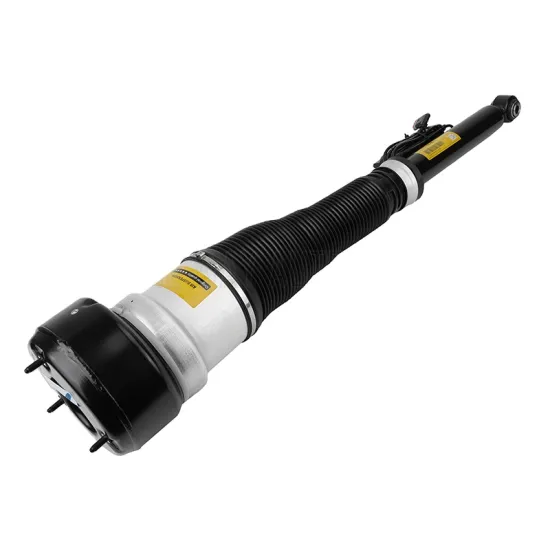 Left Rear Air Spring Suspension Strut Shock Absorber for Mercedes-Benz S-Class W221 (A2213205513)
