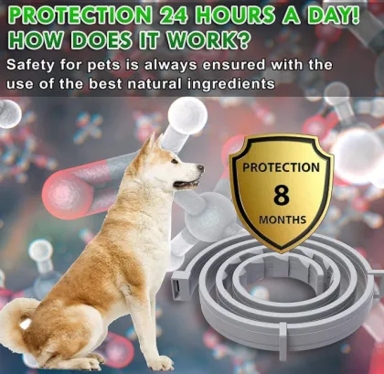 Flea and Tick Prevention Dog Collar