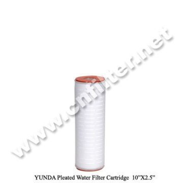 0.2 Micron Water Filter Cartridge /Pleated filter cartridge