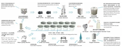 Advanced Recirculating Aquaculture Systems