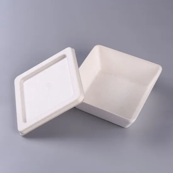 Pulp Molded Paper Packaging Food Box with Lid