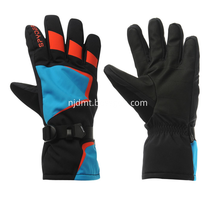 Wild Adventure Ski Gloves