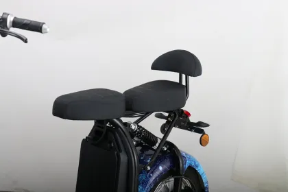 citycoco électr scoot 2000w citycoco europalager