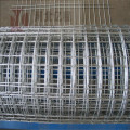 /msite/products/detail/productid/58640533/id/514691.html