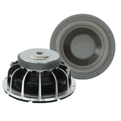 10" Subwoofer For Car Audio 