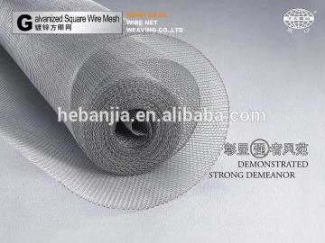 square chicken wire mesh 4x4(ISO9001 factory)