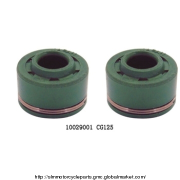 Valve Oil Seal