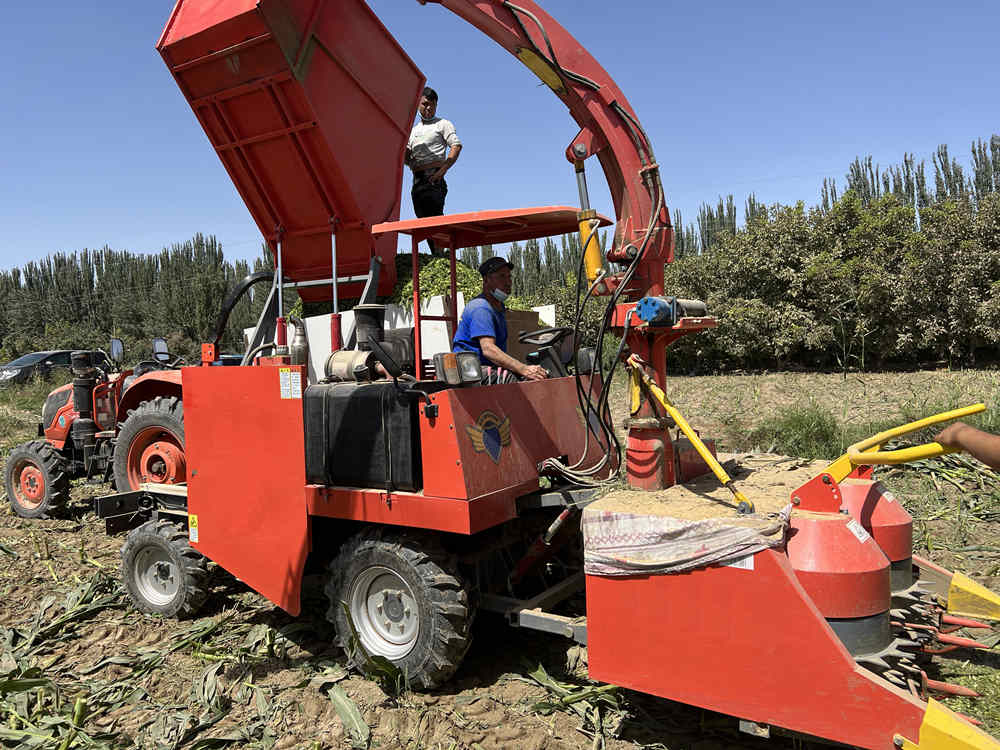 TAGRM forage cutter