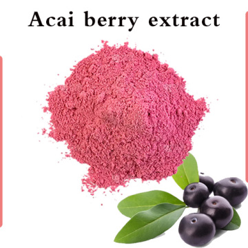 Acai Berry -Extrakt -Anthocyane 25% Massenpulver