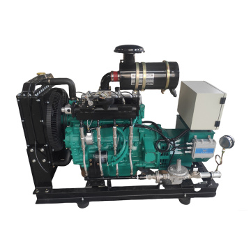 Geradores de turbina a gás natural Silent Wheels GLP