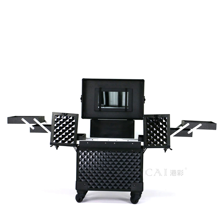 Rolling Train Case