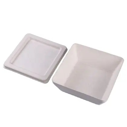 Biodegradable Bagasse Material White Tea Leaf Pulp Box
