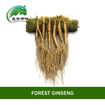Premium Changbai Mountain Ginseng