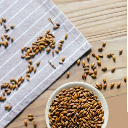 Bariatric barley Tea Natural Organic