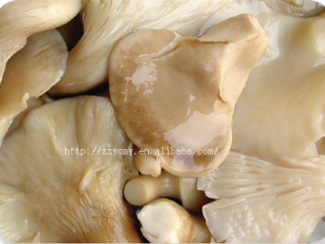 vegetarian canned food abalone mushrooms