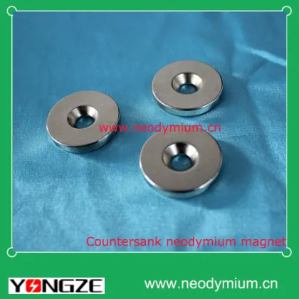 Rare Earth (Neodymium)