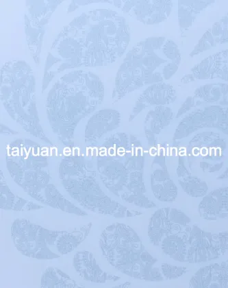 Hisense Refrigerator Glass-- Tempered & Silk Screen Printing Glass