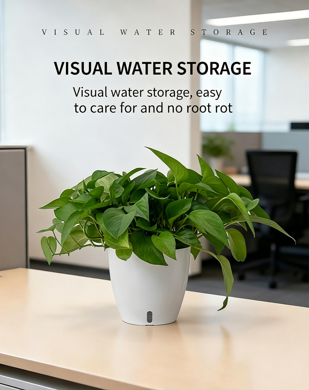 Visible Potted Plant 12