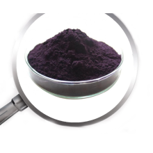 Elderberry Fruit extract/Sambucus nigra extract 5%-25%