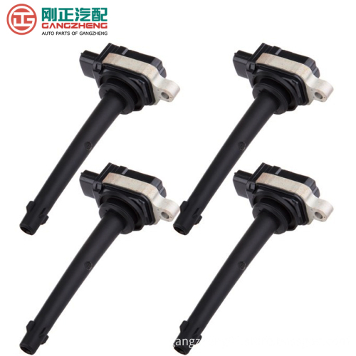 FSK Vehicle Engine Ignition Coils for Models K01, K02, K07, K07II, K17, C31, C32, C35, C37, V21, V22, V27, V29, Glory 330, 580 -