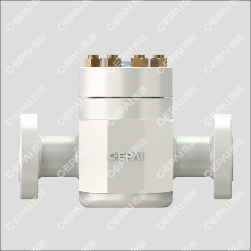 Lift Check Valve