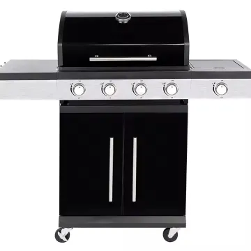 5 Burner Gas Grill with Side Burner Stainless Steel Barbecue Grill Outdoor