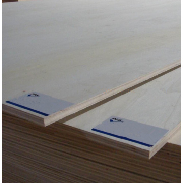 15mm 18mm White EV Eucalyptus Core Plywood