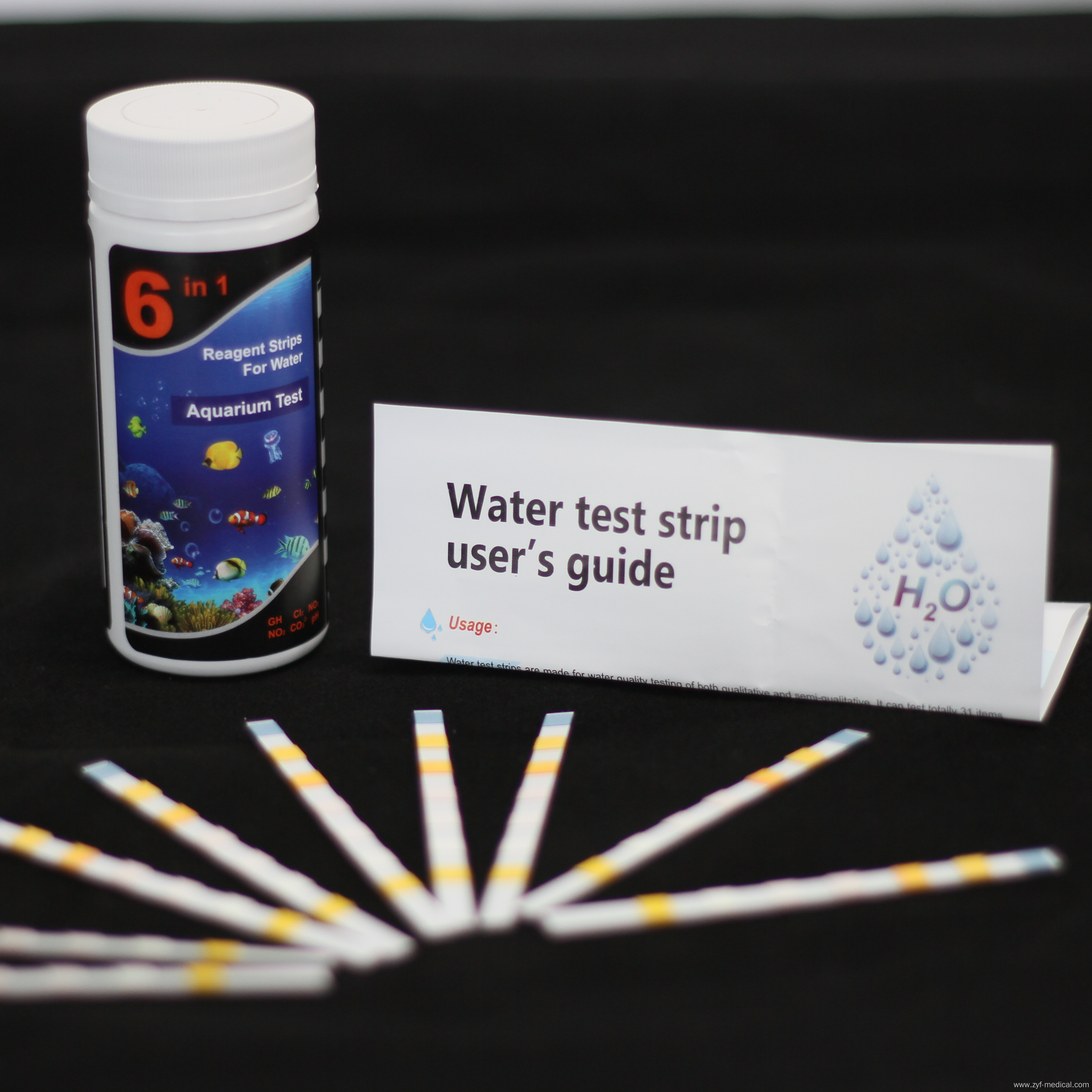 domestic end suction water test