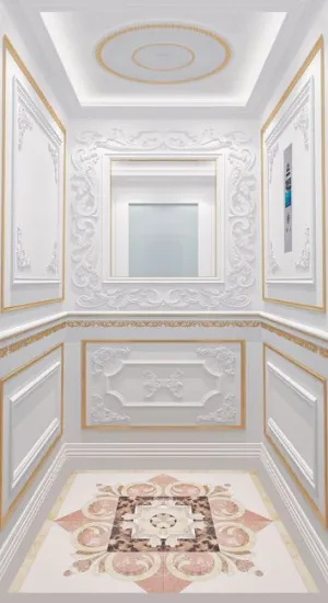 400kg lbs 5 Prices Residential Lift Elevator